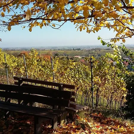 Hotel-pension Seeblick Hotel 3*
