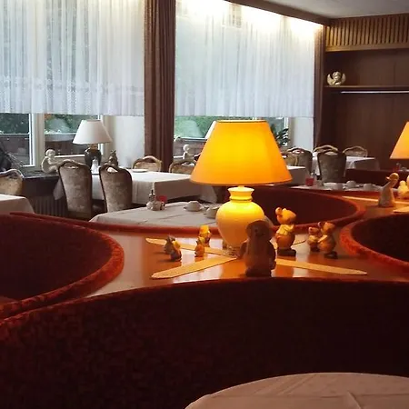 Hotel-pension Seeblick Hotel Bad Bergzabern