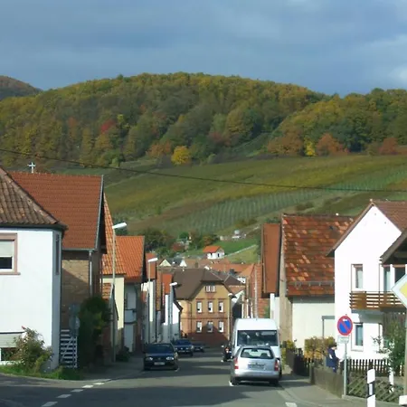 Hotel-pension Seeblick Hotel Bad Bergzabern