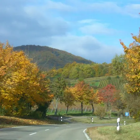 Hotel-pension Seeblick 3*