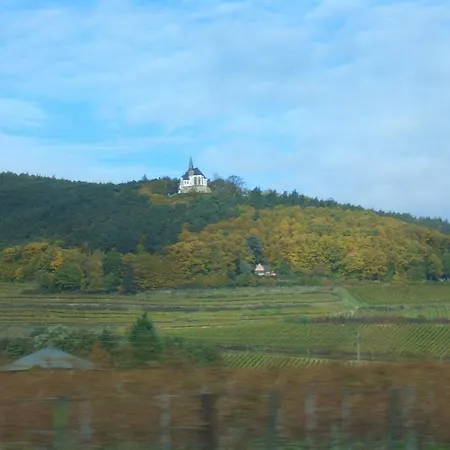 Hotel-pension Seeblick Bad Bergzabern