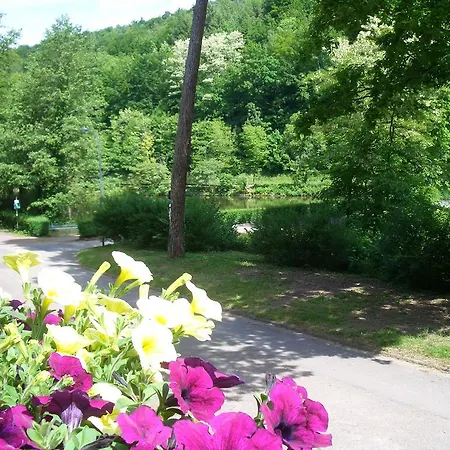 Hotel Hotel-pension Seeblick 3*